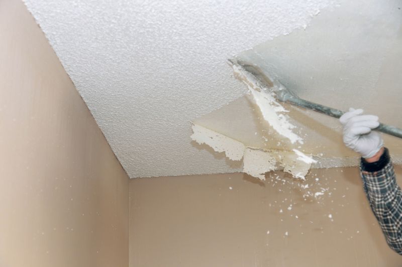 Ceiling Demolition Service