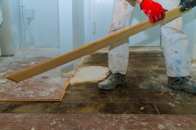 Hardwood Floor Demolition